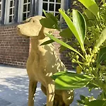 Bed & Breakfast Maison Heronniere 4*